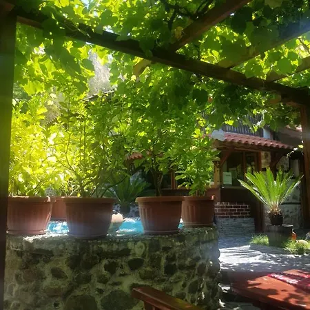 комплекс рожена, хотел, рожена *