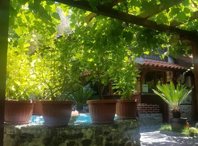 комплекс рожена, хотел, рожена *