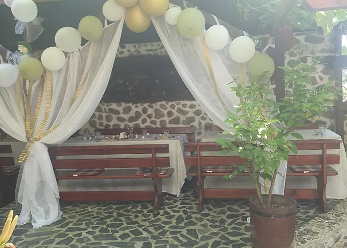 рожена Рожен